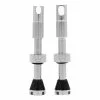 Valvola Tubeless Peaty's X Chris King 42 Mm Argento -Sconto Pedali Ciclismo in Italia pea ptv2 42 sil 12 001